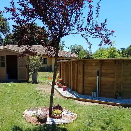 De 3 Chambres Avec Piscine Privee Jardin Clos Et Wifi A Aureilhan Villa