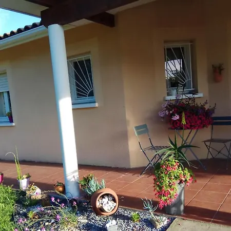 De 3 Chambres Avec Piscine Privee Jardin Clos Et Wifi A Aureilhan Villa